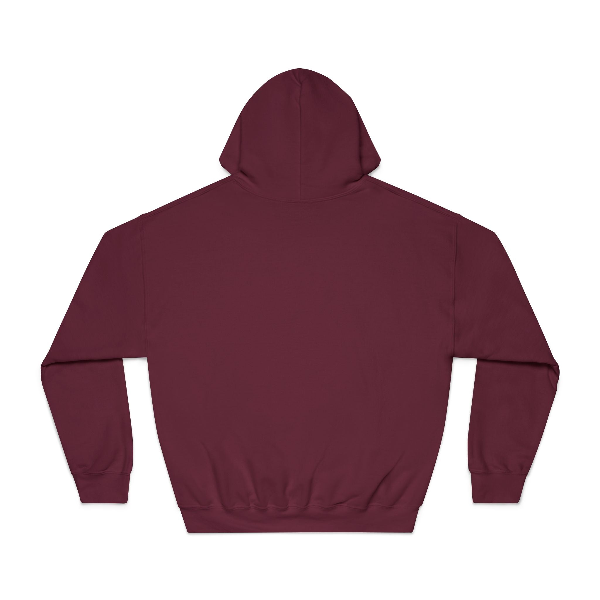 Sunset Vibes Unisex Hooded Sweatshirt - 'THE WORLD' Design