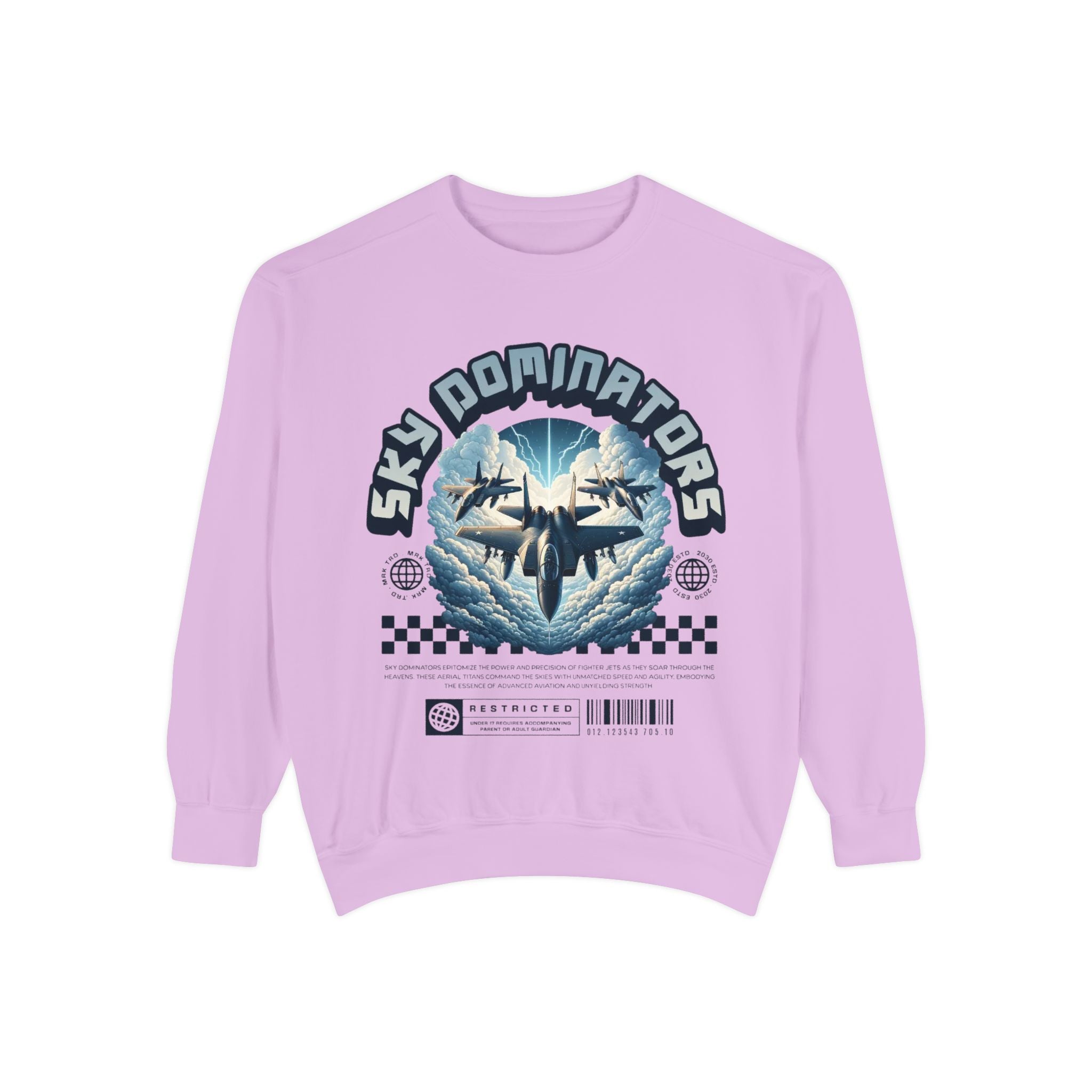 Sky Dominators Unisex Sweatshirt | Perfect for Aviation Lovers, Casual Wear, Gifts, Retro Style, Unique Designs