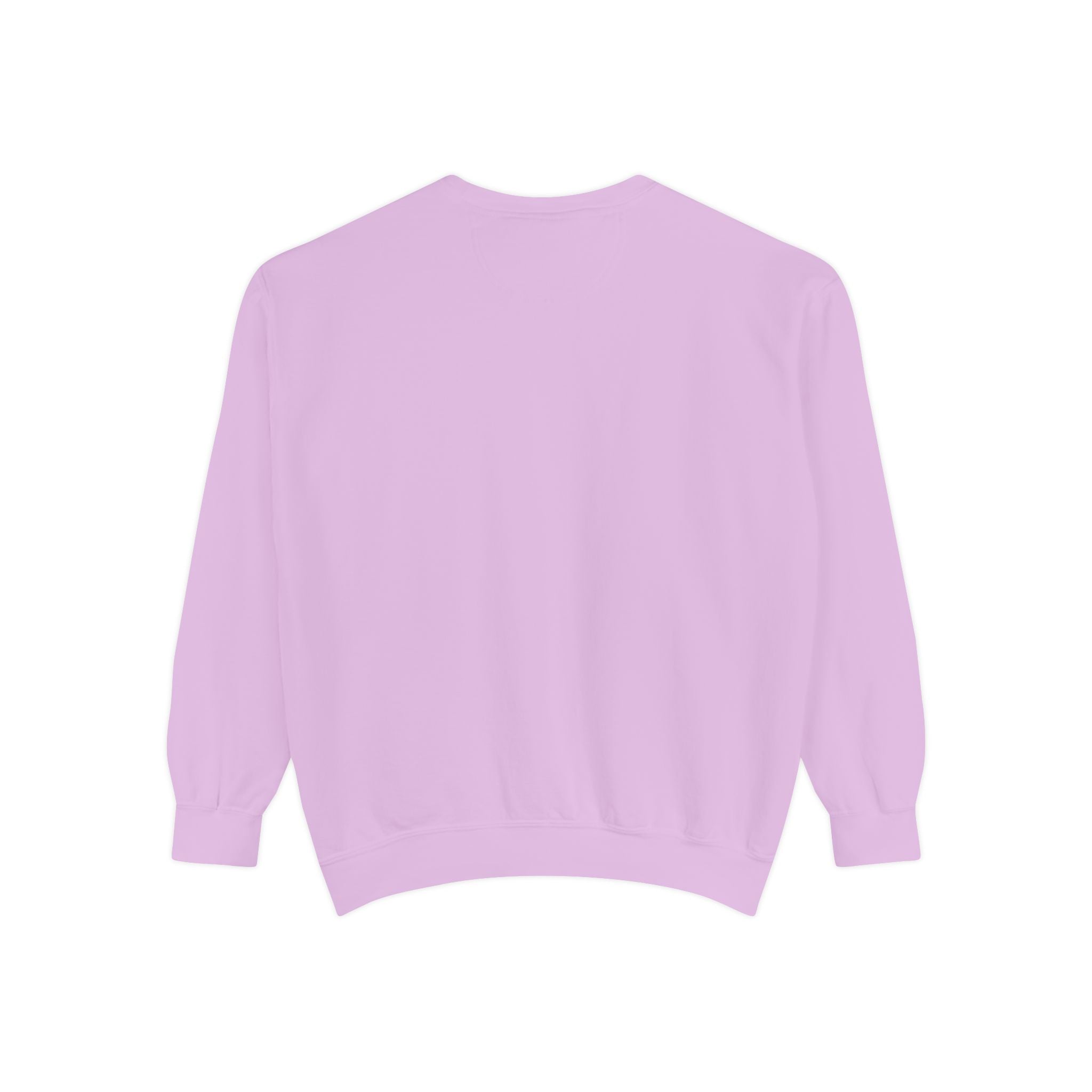 Sky Dominators Unisex Sweatshirt | Perfect for Aviation Lovers, Casual Wear, Gifts, Retro Style, Unique Designs