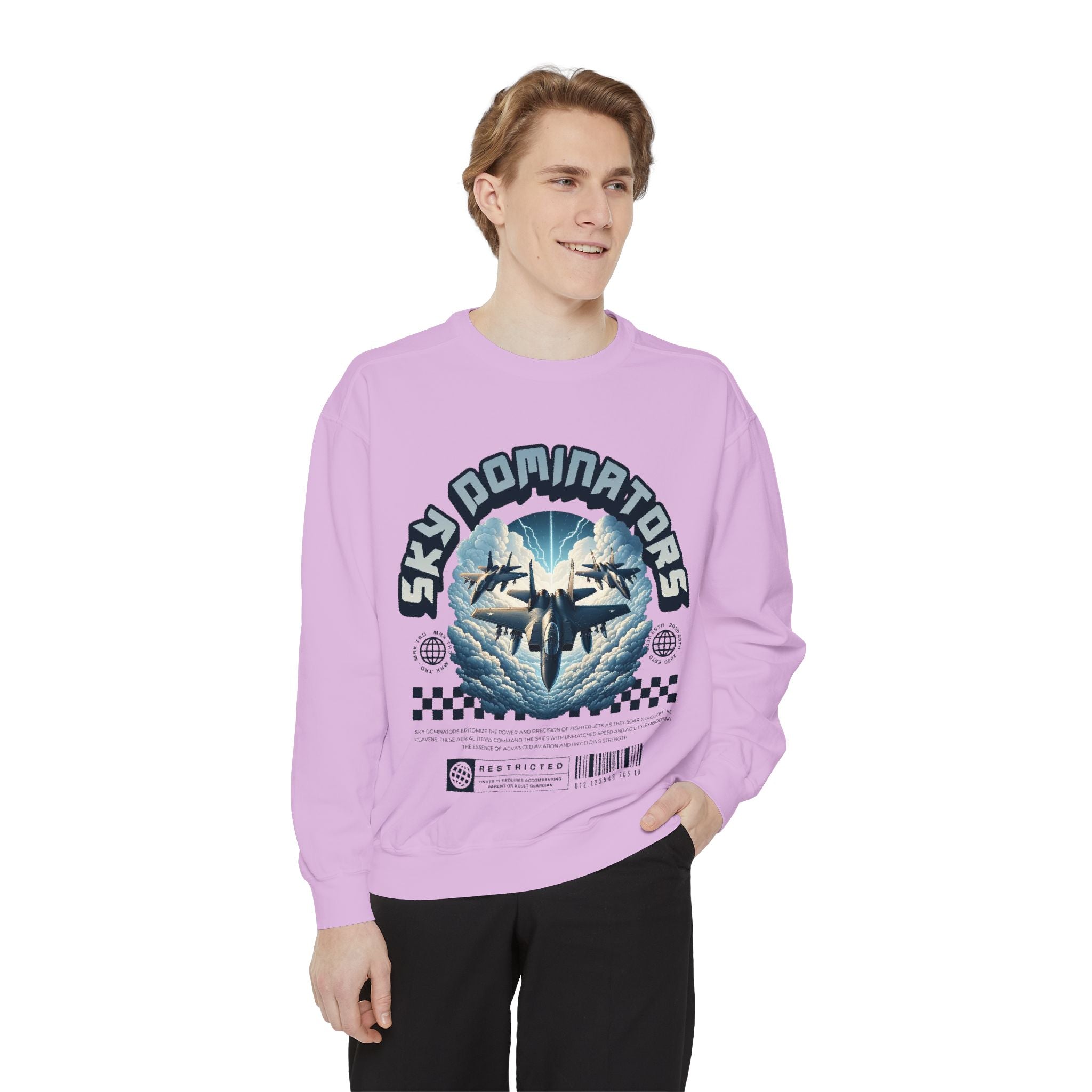 Sky Dominators Unisex Sweatshirt | Perfect for Aviation Lovers, Casual Wear, Gifts, Retro Style, Unique Designs