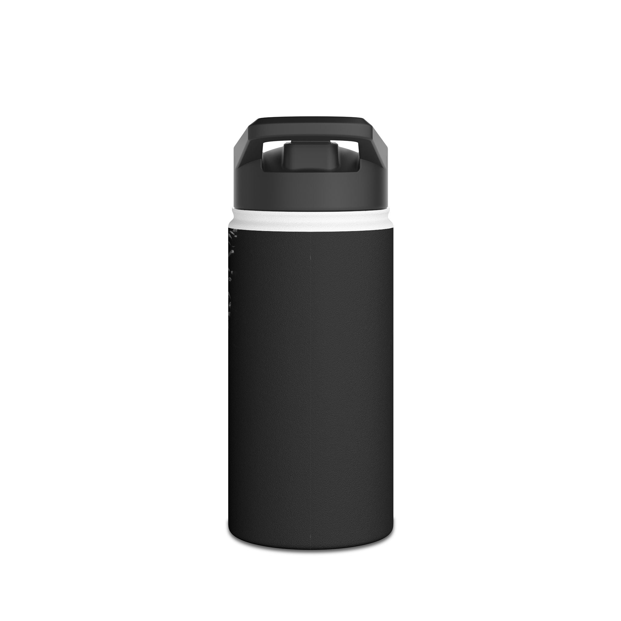 Inspirational Stainless Steel Water Bottle - "Never Give Up on Your Dreams" - Motivation for Fitness, Travel, Yoga, Gift Idea, Eco-Friendly