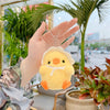 Key Chain-Keybuckle Plush Doll Lovely Cute Look Chick Cat Dog Bear Cloud Hooligan