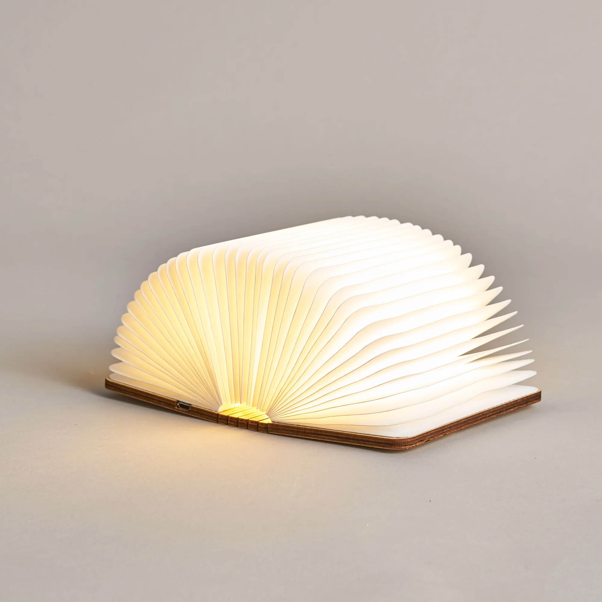 Foldable Book Lamp