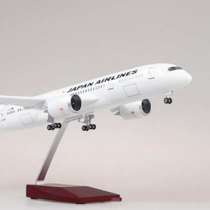 Japan Airlines Boeing 787 (Special Edition 47CM) Airplane Model